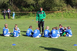 德甲球队构建战术模拟平台提升临场应变能力，德甲模式