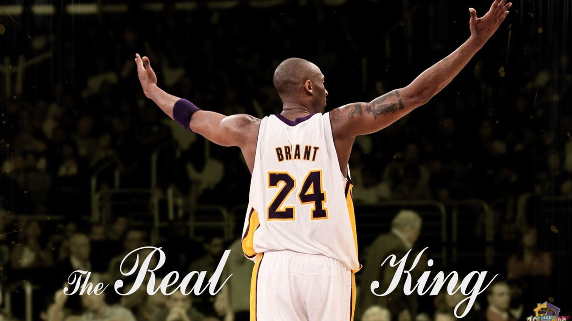 法国橄榄球比赛吸引大批投资,赛事品牌影响力大增,法国 橄榄球